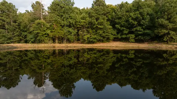 26 White Oak Ranch Tyler TX Ranch Land for Sale Smith County United Country Legacy Land Company