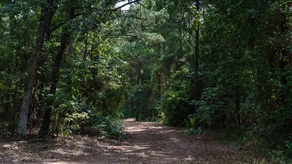 1 White Oak Ranch Tyler TX Ranch Land for Sale Smith County United Country Legacy Land Company