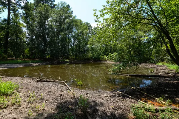 43 Bullard Ranch for Sale Bullard TX Cherokee County Ben Jackson United Country Legacy Land Company
