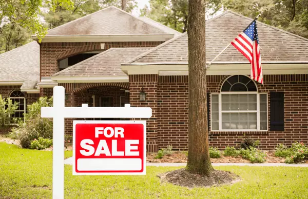 Fall into Success with the Lucido Listing Blitz