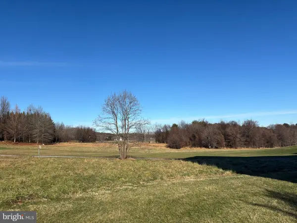 11130 CHAMBERS CT #B, Woodstock, MD 21163