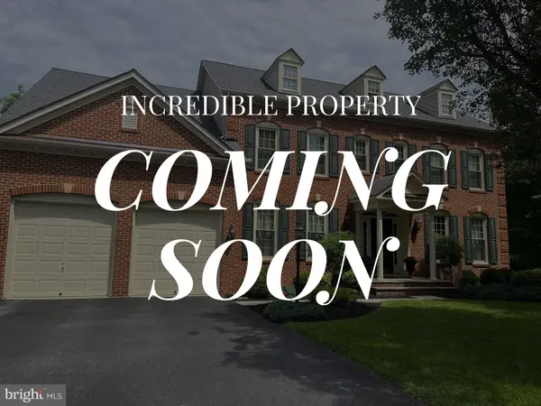 10717 RED DAHLIA DR, Woodstock, MD 21163