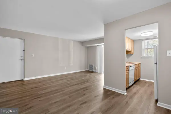 3612 COURT HOUSE DR #3B, Ellicott City, MD 21043