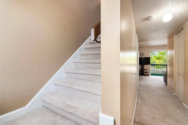 6311 NEWTOWN CIR #11B2, Tampa, FL 33615