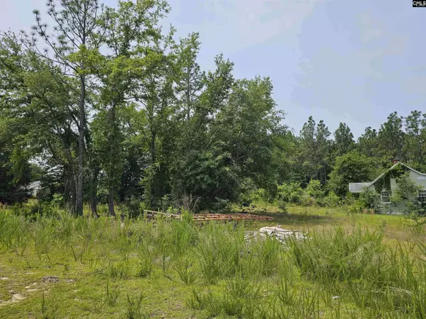 1307 Main Street, West Columbia, SC 29170