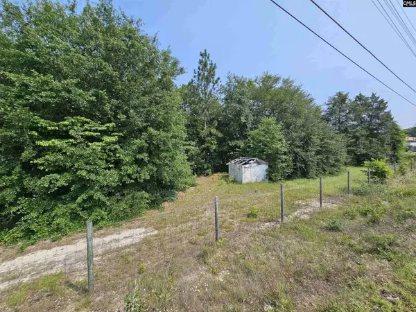 1307 Main Street, West Columbia, SC 29170