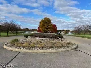 Black Duck CT, Cortland, OH 44410