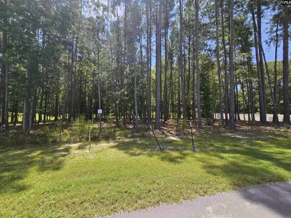 0 Stewart Landing Drive #6, Prosperity, SC 29127