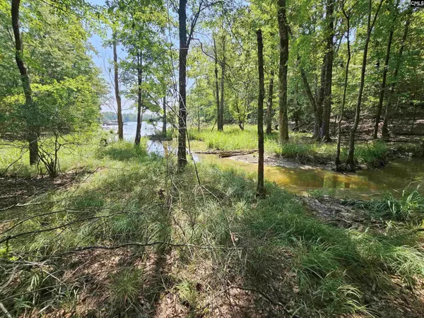 0 Stewart Landing Drive #6, Prosperity, SC 29127