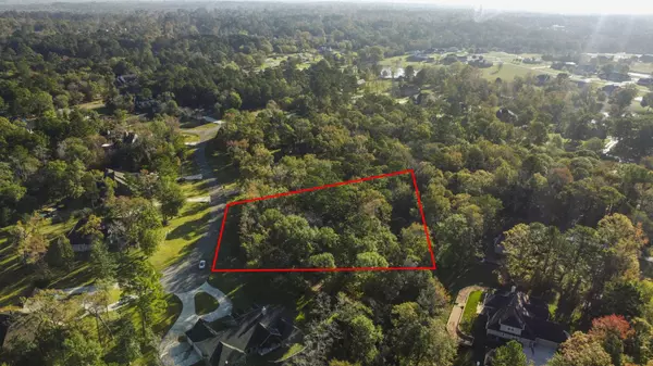 1410 Amber CV, Willis, TX 77378