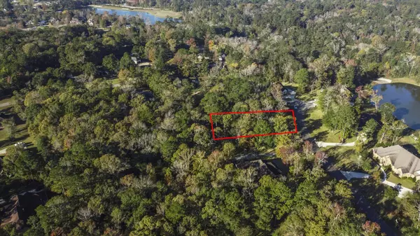 1410 Amber CV, Willis, TX 77378