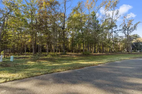 1410 Amber CV, Willis, TX 77378