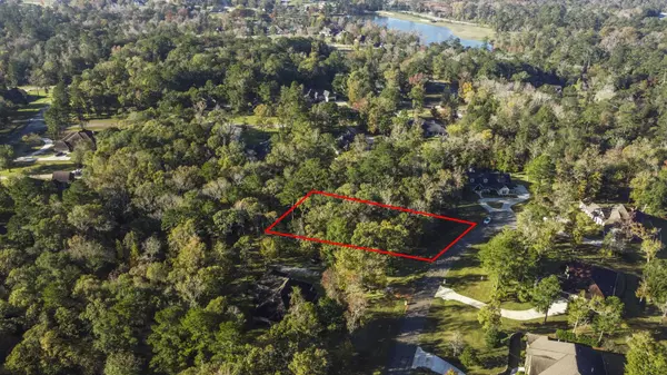 1410 Amber CV, Willis, TX 77378