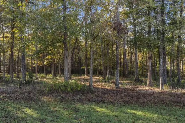 1410 Amber CV, Willis, TX 77378