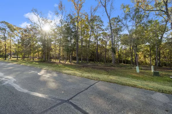 1410 Amber CV, Willis, TX 77378