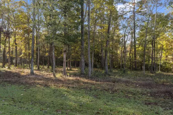 1410 Amber CV, Willis, TX 77378