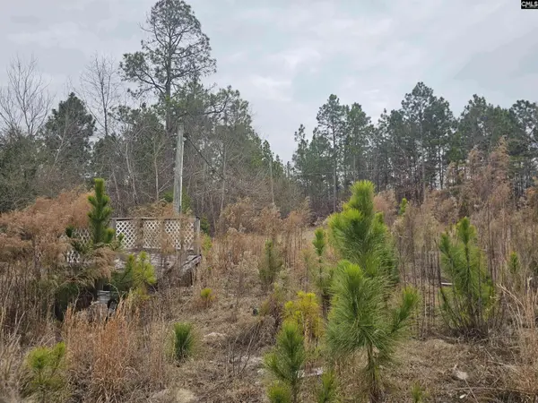 722 Jeff Sharpe Road, Gaston, SC 29053