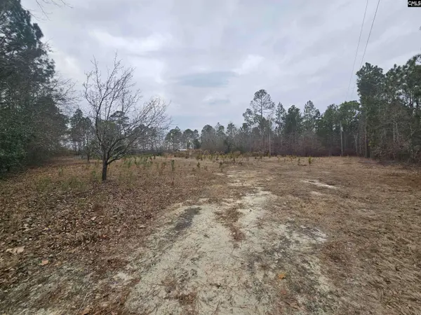 722 Jeff Sharpe Road, Gaston, SC 29053