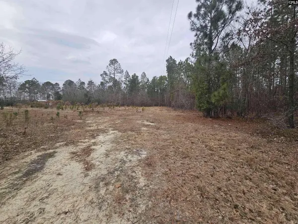 722 Jeff Sharpe Road, Gaston, SC 29053