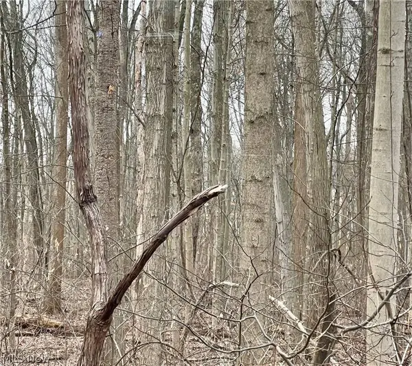 Maple AVE, Boardman, OH 44512