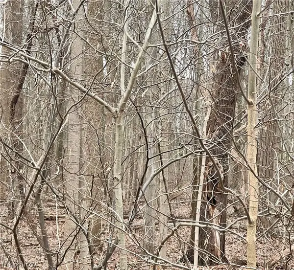 Maple AVE, Boardman, OH 44512