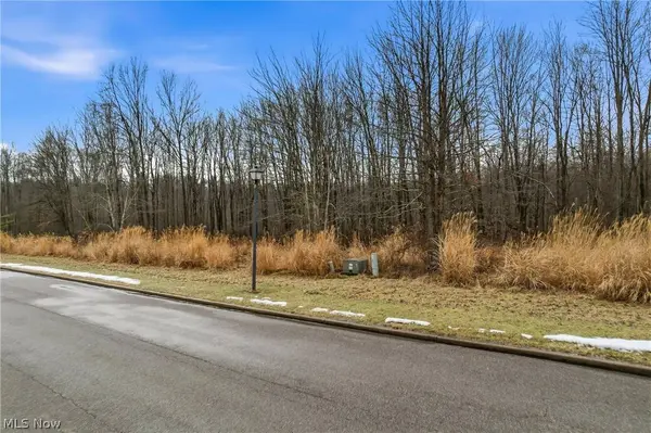 Lakeview DR, Hubbard, OH 44425