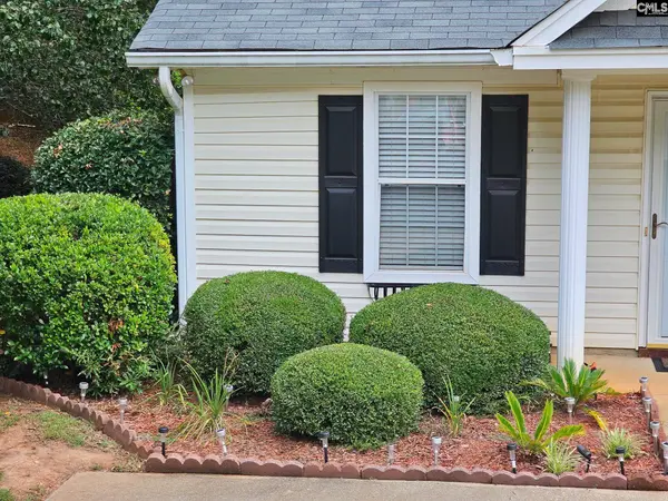 126 Fair Haven Way, Chapin, SC 29036