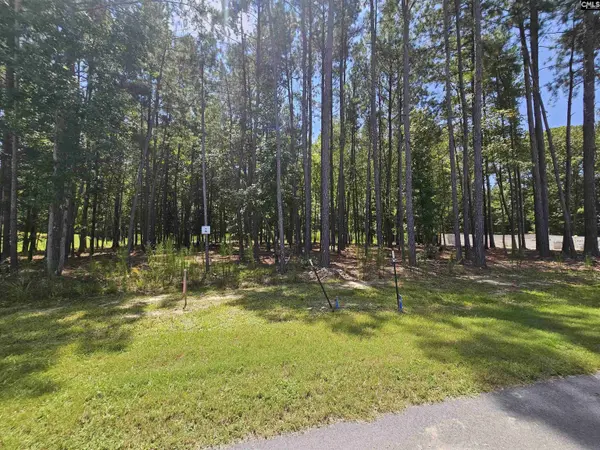 Lot 6 Stewart Landing Drive, Prosperity, SC 29127