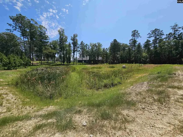 Lot 6 Stewart Landing Drive, Prosperity, SC 29127