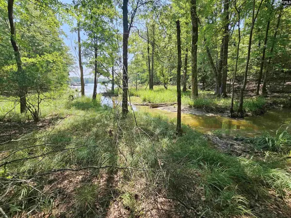 Lot 6 Stewart Landing Drive, Prosperity, SC 29127