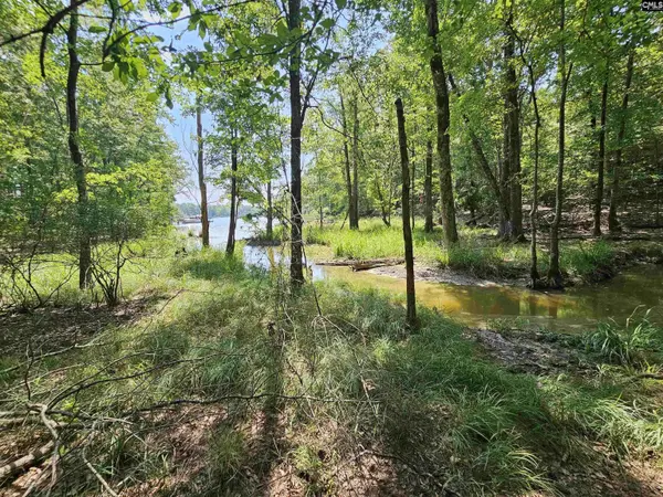 Lot 6 Stewart Landing Drive, Prosperity, SC 29127