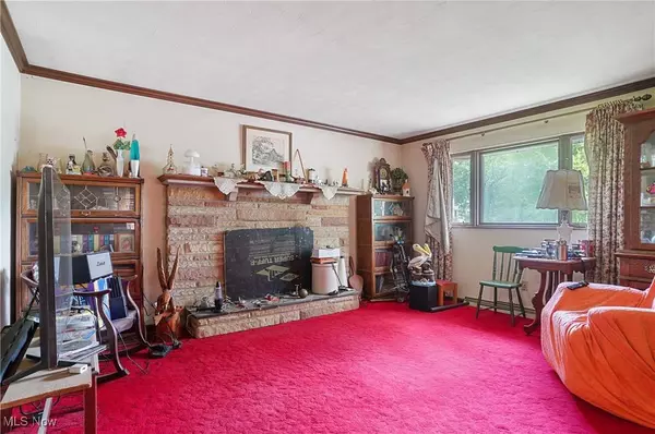 49390 Fredericktown Clark RD, Negley, OH 44441