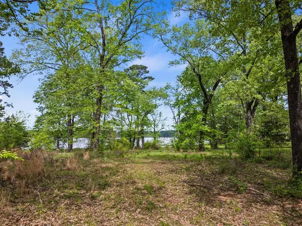 TBD South Shore Drive, Lone Star, TX 75668