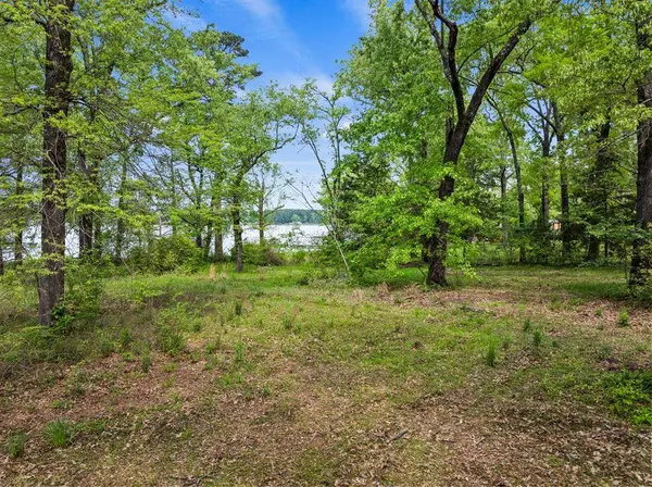 TBD South Shore Drive, Lone Star, TX 75668