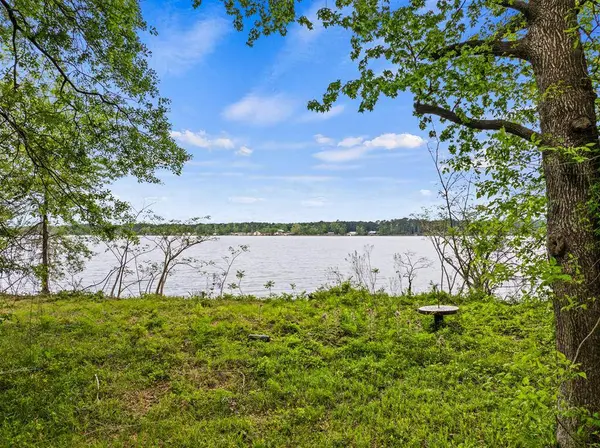 TBD South Shore Drive, Lone Star, TX 75668