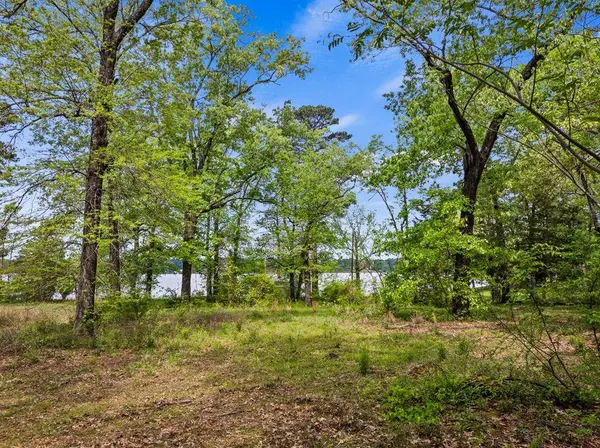 TBD South Shore Drive, Lone Star, TX 75668