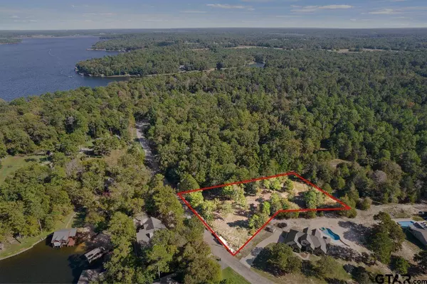 TBD Charlya Drive, Scroggins, TX 75480