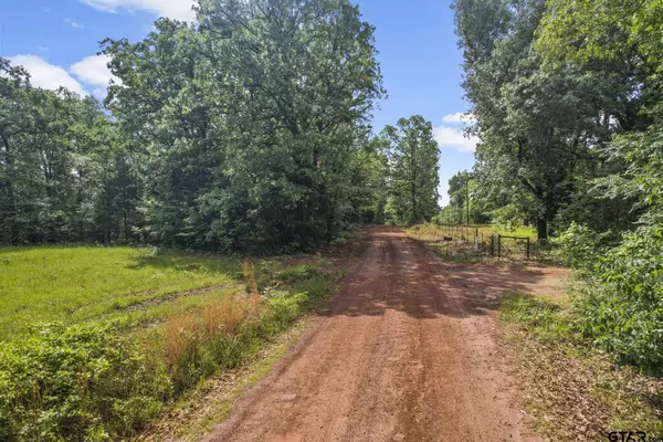 TBD County Road 2337, Pittsburg, TX 75686