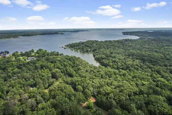 TBD County Road 2337, Pittsburg, TX 75686