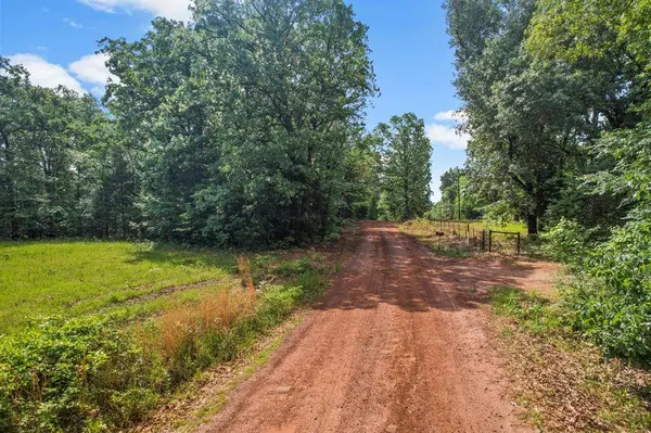 TBD County Road 2337, Pittsburg, TX 75686