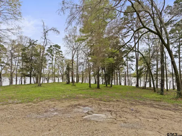 Lot 6 Lost Pines, Pittsburg, TX 75686