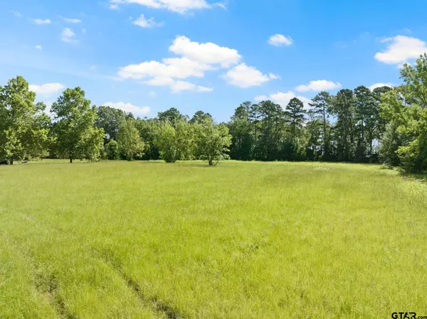 2039 County Road 2850, Pittsburg, TX 75686