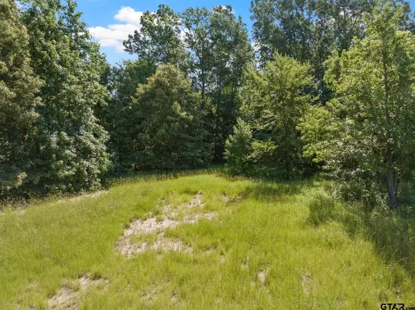 2039 County Road 2850, Pittsburg, TX 75686