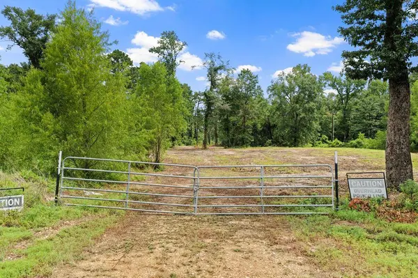 4580 FM 3007, Scroggins, TX 75480