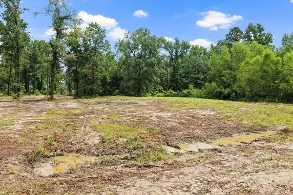 4580 FM 3007, Scroggins, TX 75480