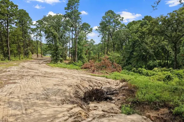 4580 FM 3007, Scroggins, TX 75480