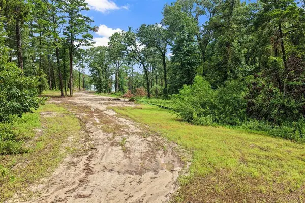 4580 FM 3007, Scroggins, TX 75480