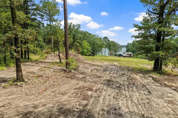4580 FM 3007, Scroggins, TX 75480