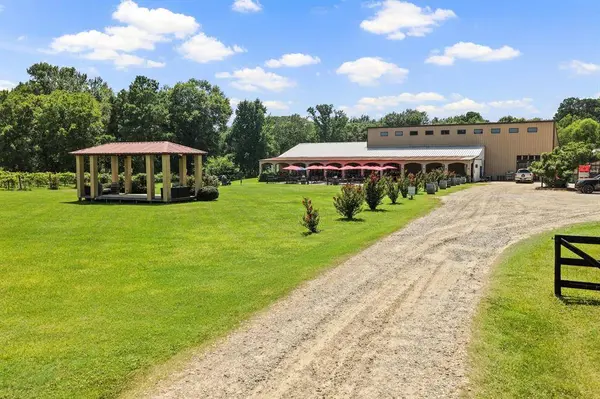 658 County Road 1334