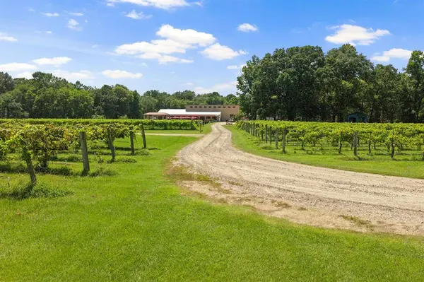 658 County Road 1334, Pittsburg, TX 75686